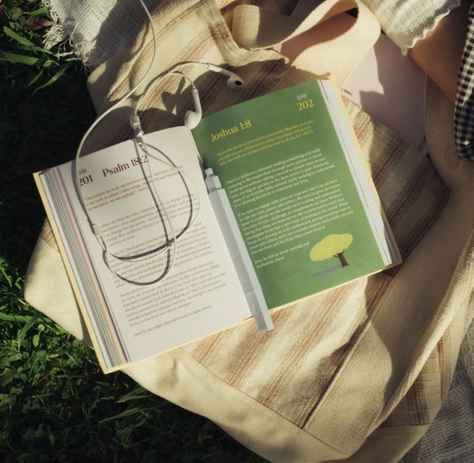 A Beautiful Year with Jesus: The 365 Day Bible Devotional