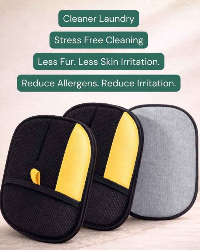 🐶Pet Hair Removal Gloves🐱