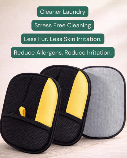 🐶Pet Hair Removal Gloves🐱