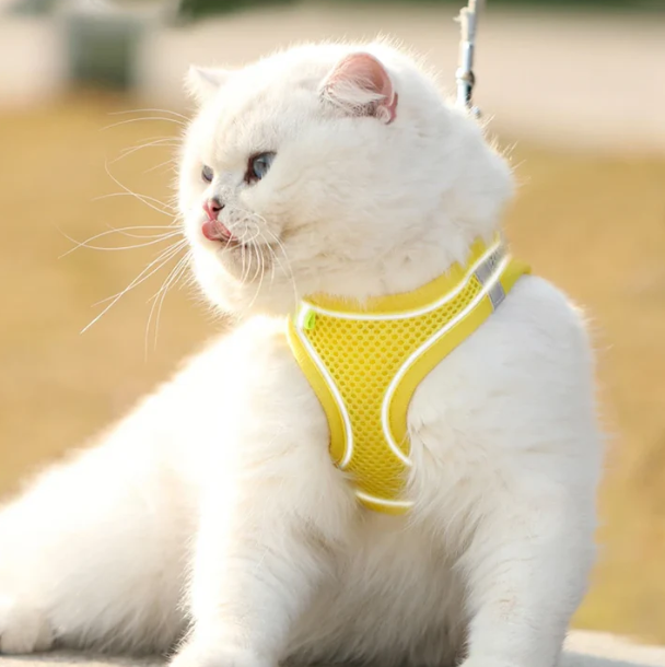 Reflective Adjustable Pet Harness Vest with Chest Rope Set - Perfect for Small to Medium Dogs, Breathable Design for Comfortable Outdoor Walks
