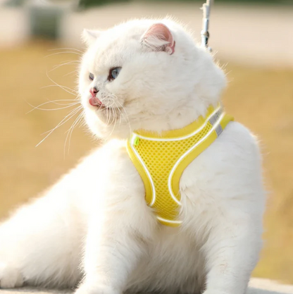 Reflective Adjustable Pet Harness Vest with Chest Rope Set - Perfect for Small to Medium Dogs, Breathable Design for Comfortable Outdoor Walks