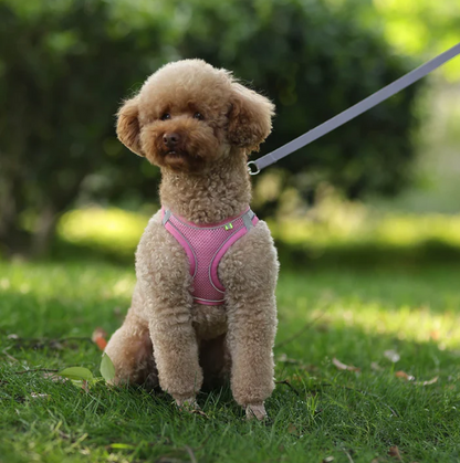 Reflective Adjustable Pet Harness Vest with Chest Rope Set - Perfect for Small to Medium Dogs, Breathable Design for Comfortable Outdoor Walks