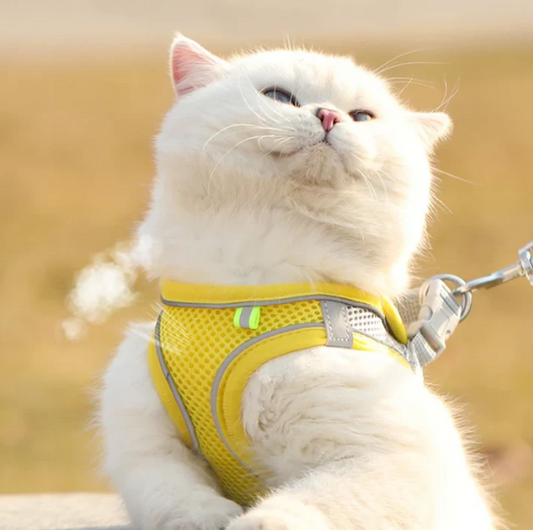 Reflective Adjustable Pet Harness Vest with Chest Rope Set - Perfect for Small to Medium Dogs, Breathable Design for Comfortable Outdoor Walks