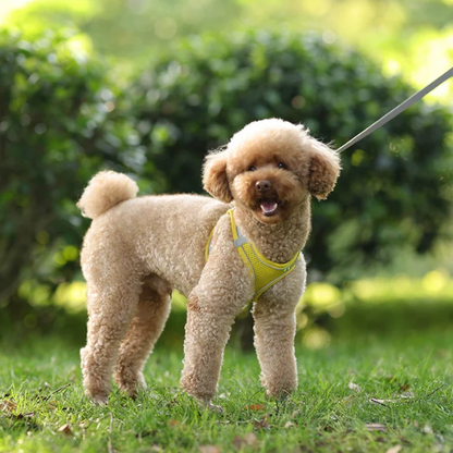 Reflective Adjustable Pet Harness Vest with Chest Rope Set - Perfect for Small to Medium Dogs, Breathable Design for Comfortable Outdoor Walks