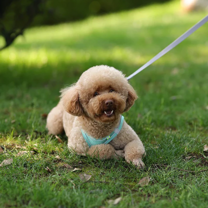 Reflective Adjustable Pet Harness Vest with Chest Rope Set - Perfect for Small to Medium Dogs, Breathable Design for Comfortable Outdoor Walks