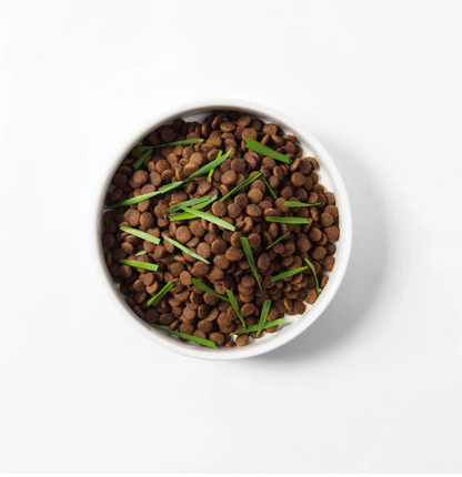 🐱All-in-One Soil-Free Cat Grass Grow Kit with Australian Seed and Mulch, Made in Australia
