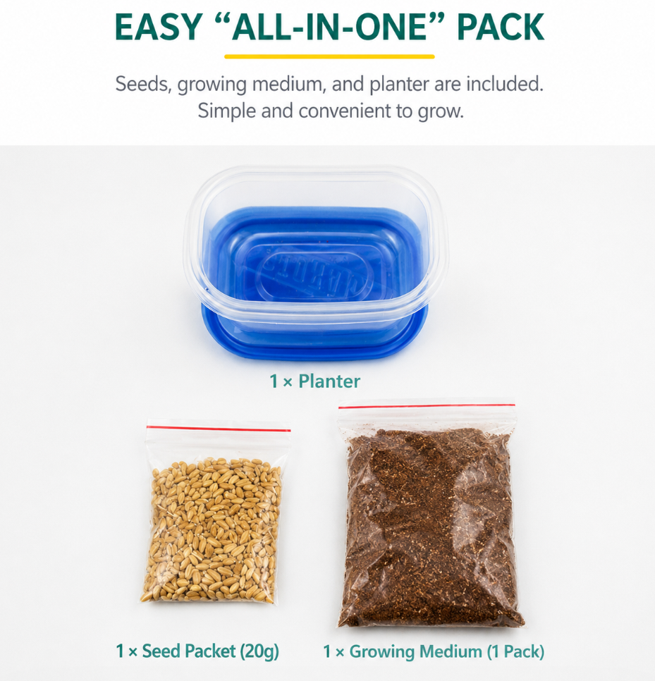 🐱All-in-One Soil-Free Cat Grass Grow Kit with Australian Seed and Mulch, Made in Australia