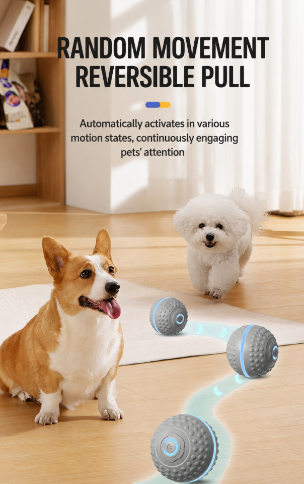Smart Interactive Dog Toy 🐶