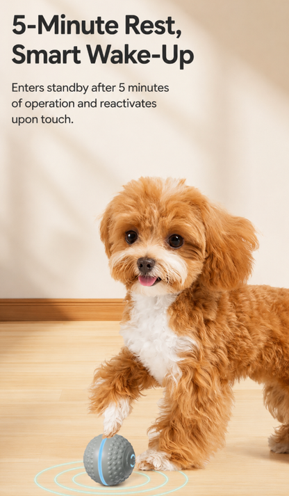 Smart Interactive Dog Toy 🐶