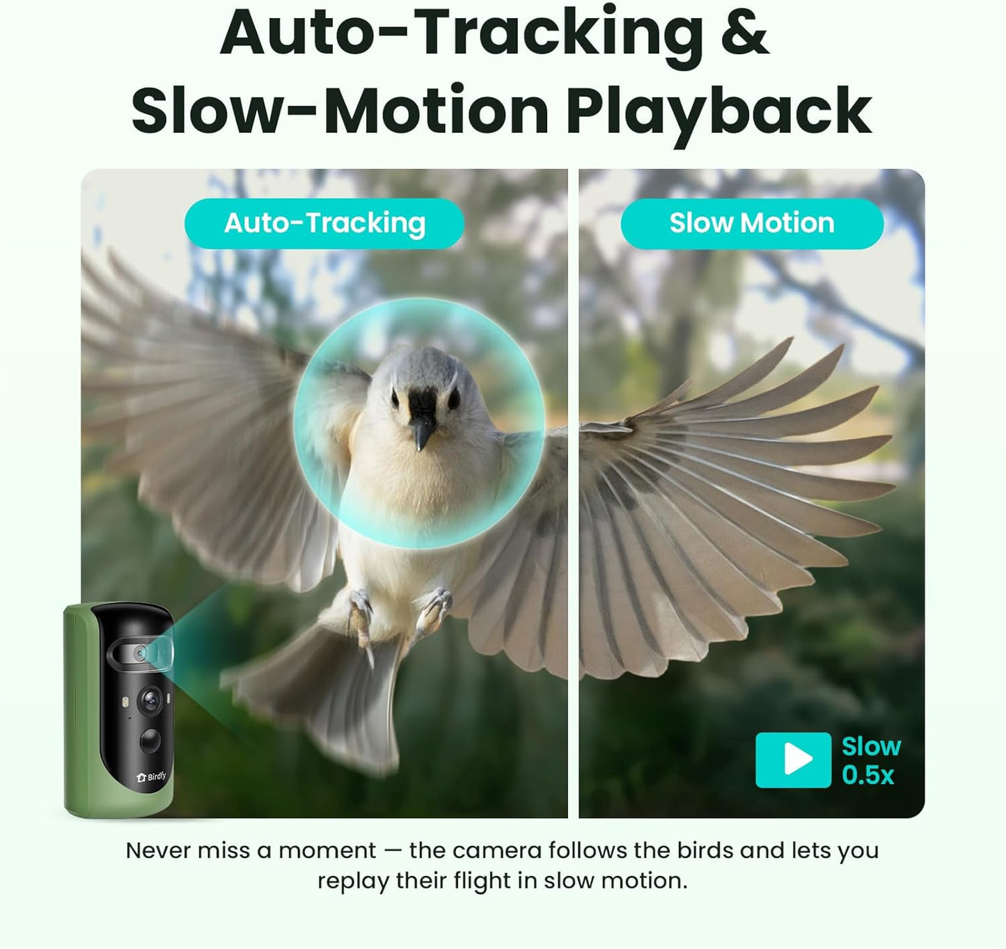 Birdfy 2 Smart Bird Feeder with Camera