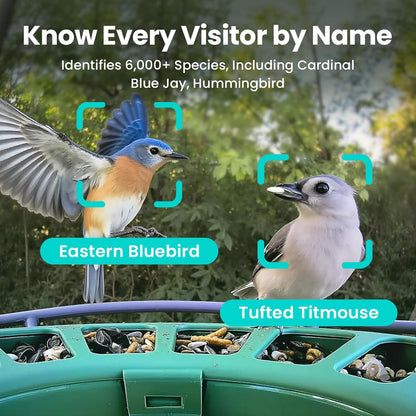 Birdfy 2 Smart Bird Feeder with Camera