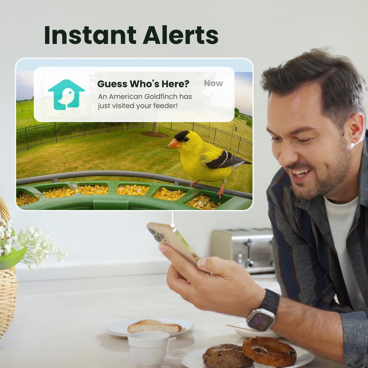 Birdfy 2 Smart Bird Feeder with Camera
