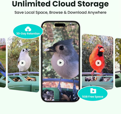 Birdfy 2 Smart Bird Feeder with Camera