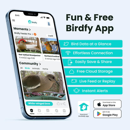 Birdfy 2 Smart Bird Feeder with Camera
